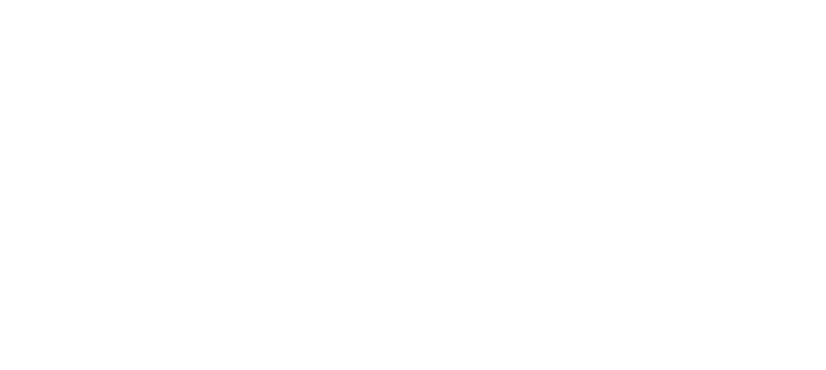 British University Vietnam